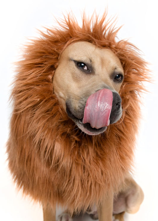 Lion Mane Wig for Dogs – Funny Lion Costume for Pets