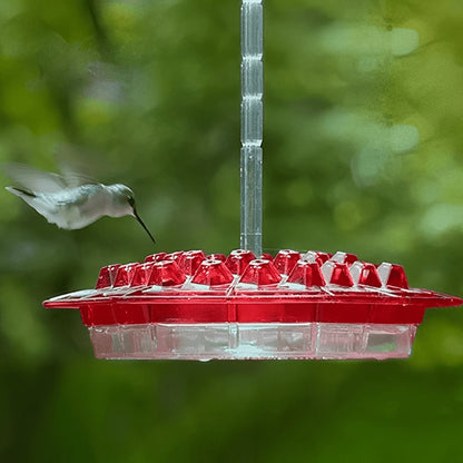 Ant-Proof Hummingbird Feeder – 30-Tube Hanging Bird Feeder