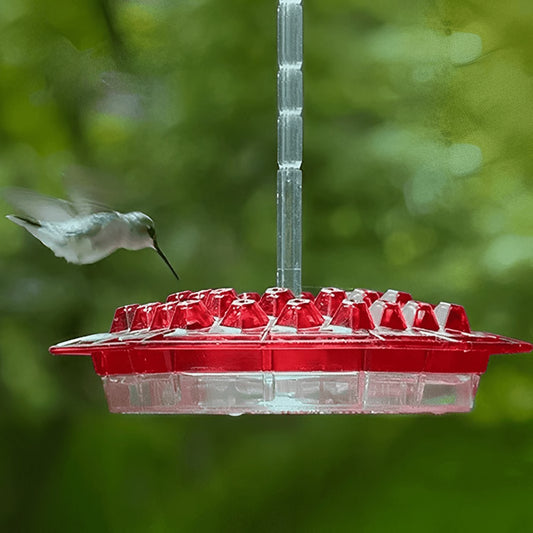 Ant-Proof Hummingbird Feeder – 30-Tube Hanging Bird Feeder