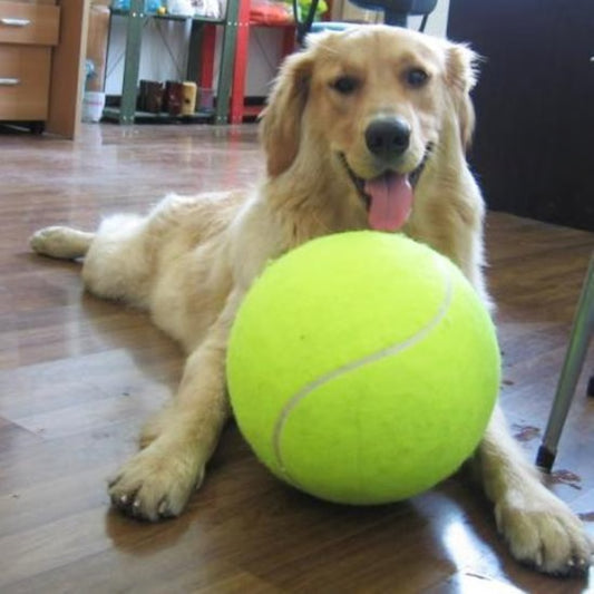 Jumbo Dog Ball – Large Interactive Dog Toy