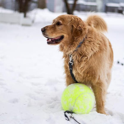 Jumbo Dog Ball – Large Interactive Dog Toy